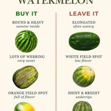 Whole melons showing their thick rinds