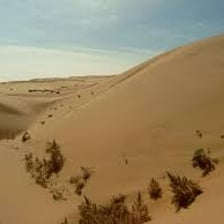 A wide desert landscape in the Gobi Desert