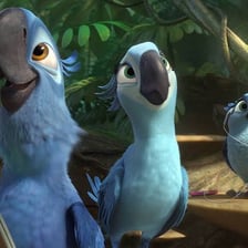 Blu and Jewel, the Spix’s macaw characters from the animated film Rio