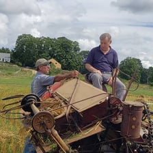 A farmer harvesting ripe wheat in a field