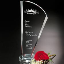A trophy representing recognition for merit.