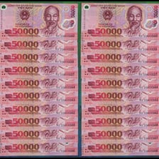Vietnamese đồng banknotes displayed together.