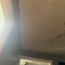 A tiny dust particle visible in a beam of sunlight