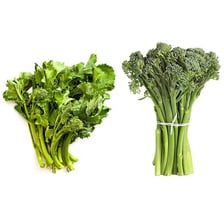 A bunch of fresh broccoli rabe with leafy stems and small florets