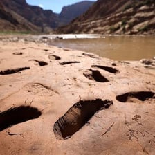 Fine sediment deposited beside a river.