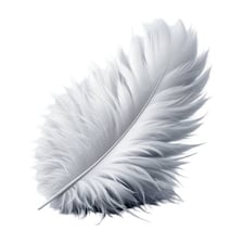 A lightweight feather floating in the air.