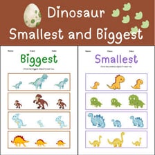 A size comparison showing one object as the smallest