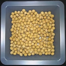 Soybeans associated with miso production