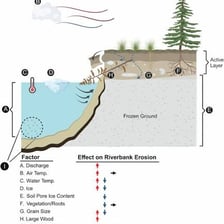 Fine sediment accumulated along a riverbank.