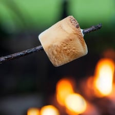A s’more made with toasted marshmallow, chocolate, and graham crackers.