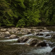 A small creek flowing through a natural landscape.