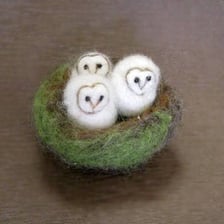 A young owl sitting inside a nest