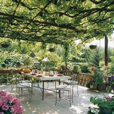 A vine-covered arbor providing shade in a garden