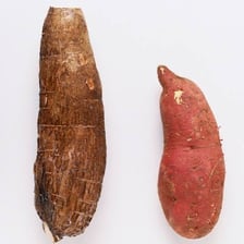 A yam and a sweet potato shown side by side