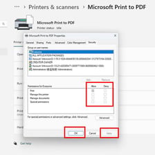 A computer print dialog showing a PDF output option