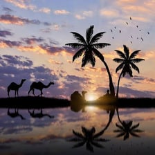 Desert caravan near palm trees and water at an oasis