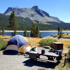 Campers gathered at a campsite in a national park