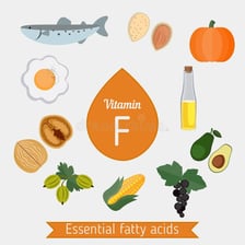 An educational illustration about essential fatty acids and nutrition