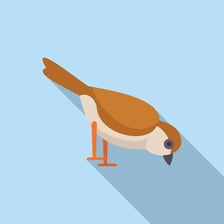 A small bird pecking at food on the ground