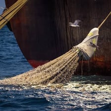 A commercial fishing boat dragging a large net through the sea.
