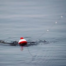 A red-and-white fishing bobber floating beside a fishing line