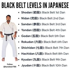 A karate practitioner demonstrating a high-level martial-arts rank