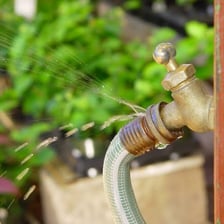 Water spraying from a leak in a garden hose