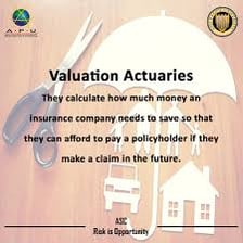 An actuary reviewing insurance risk calculations