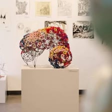 Drawings displayed at an art exhibition.