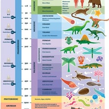 A geologic time scale showing eons as broad divisions