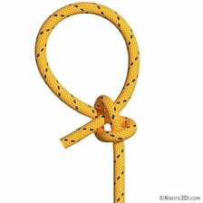 A looped lariat rope used for roping livestock.