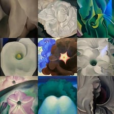 A Georgia O’Keeffe painting displayed in a gallery.