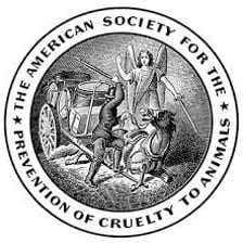 The ASPCA animal-welfare organization logo