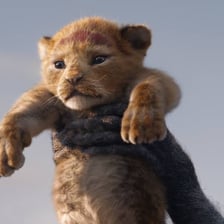 A lion associated with the character Simba from “The Lion King.”