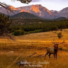 An elk standing in a mountainous landscape.