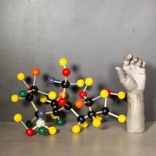 A classroom model representing atoms and bonds.