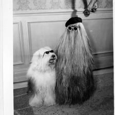 Cousin Itt, the long-haired character from The Addams Family