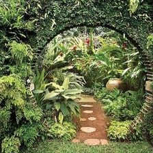 A tropical landscape in Sri Lanka.