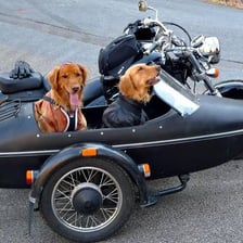 A motorcycle fitted with a sidecar passenger compartment.