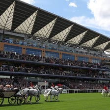 Thoroughbred horses racing at Ascot Racecourse.