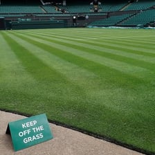 A tennis court with the distinctive grass surface used at Wimbledon