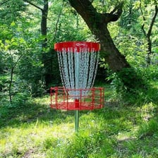 A disc golf basket on a course with a tree standing in the throwing path.