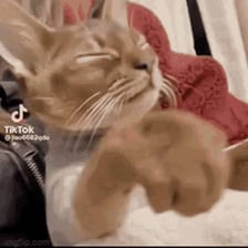 A person using a gesture to shoo an animal away.
