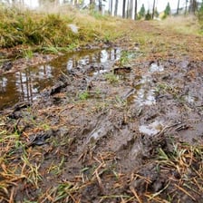 Water slowly seeping through soil