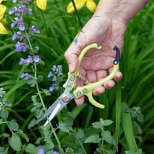 Handheld pruning snips clipping a small plant stem.