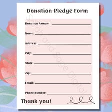 A donor making a charitable fundraising pledge