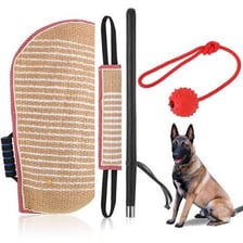 A dog being trained to release a toy on command.