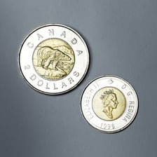 A Canadian two-dollar coin featuring a polar bear.