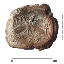 An artifact documented in place at an archaeological excavation.