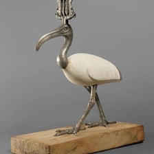 A sacred ibis, the bird associated with the Egyptian god Thoth.